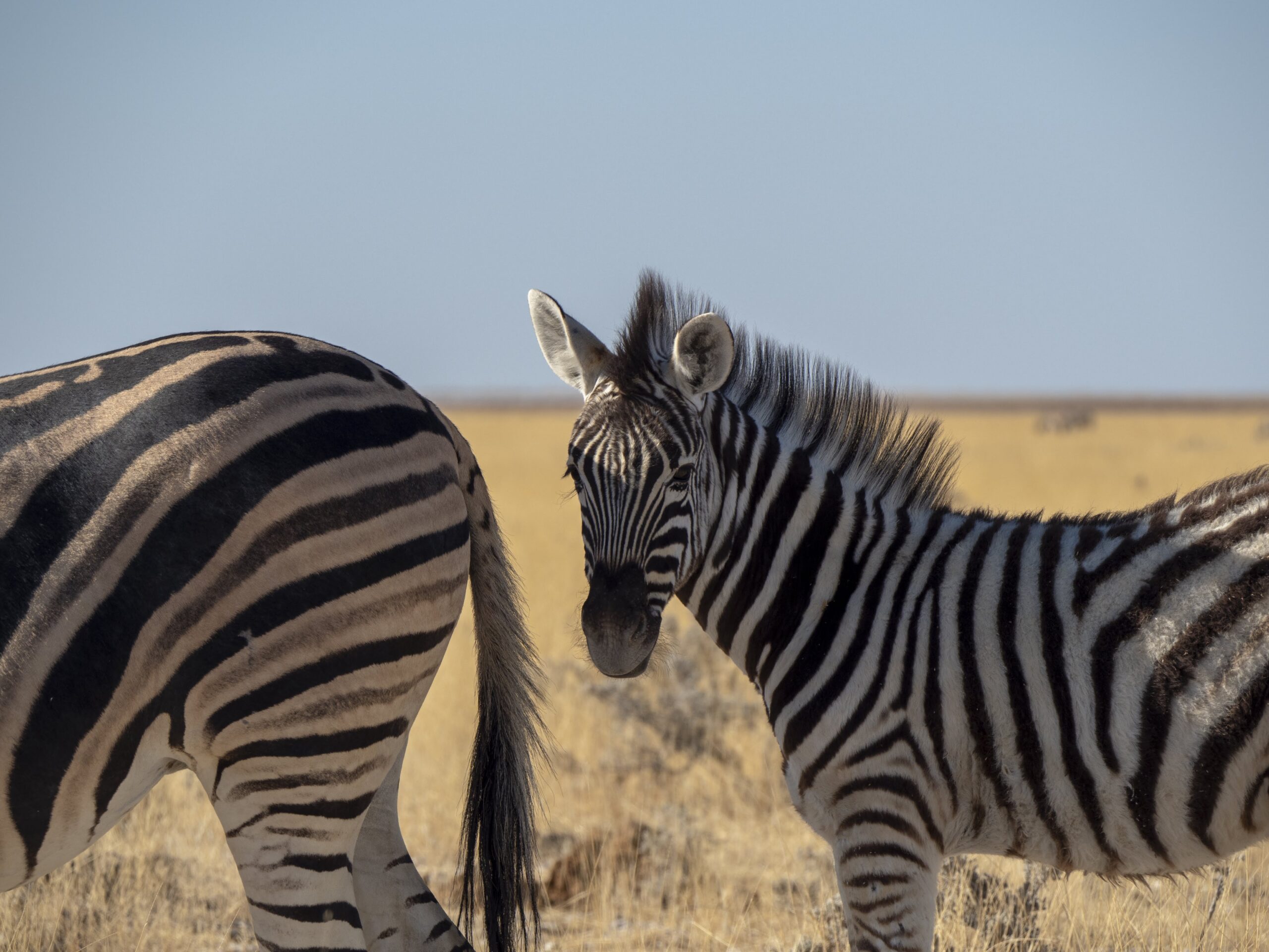 Namibia